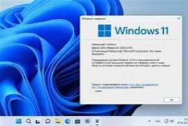 Windows 11 Pro 22H2 b22623.730 x64 Pre-Activated (No TPM) - 