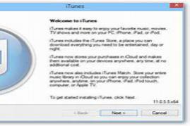 iTunes 10.6.3 Windows 64 Bit Download 6/11/2012